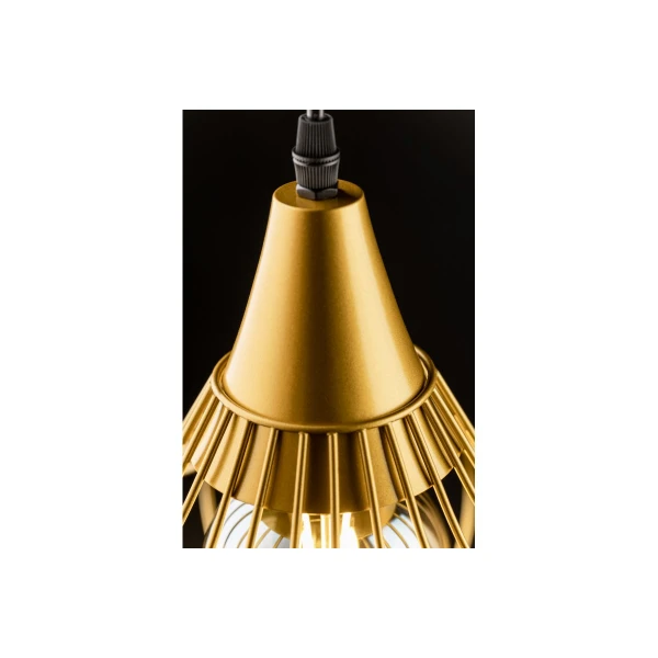 Потолочный светильник LOTTE,2646,AC220-240V,50/60Hz,1*E27, IP20, диаметр 33 CM, единичный, золотой