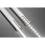 Стрічка GTV COB 12V, 320LED/m, 8mm, 8W/m, 600lm/W, 6500K, 5м