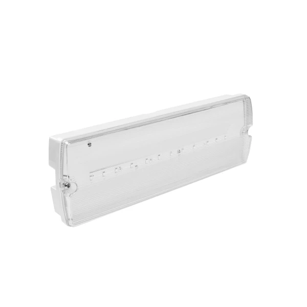Светильник аварийный TERNO-3, LED, 3W, 250lm, 6400K, AC220-240В, IP65, 3ч, двойной, TEST