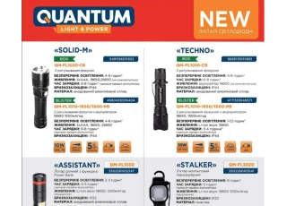 Quantum Quantum