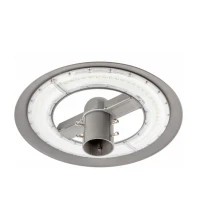 Світильник 100W вулично-парковий GTV ORLANDO LED, 4000K, IP65 (LD-ORL100W-40)